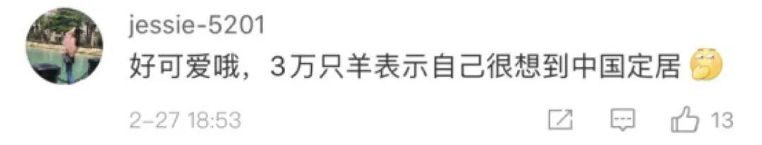 羊羊羊羊羊……蒙古送30000只羊抗疫，全国人民笑了，政府愁了