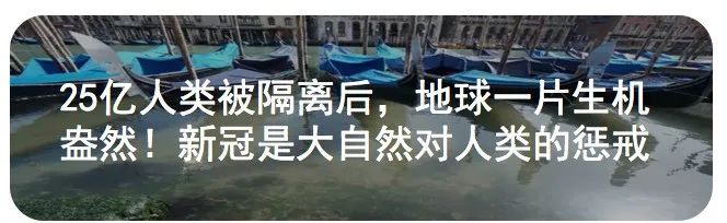 可怕！美国流感患者竟检测出新冠抗体！特朗普真的要瞒不住了