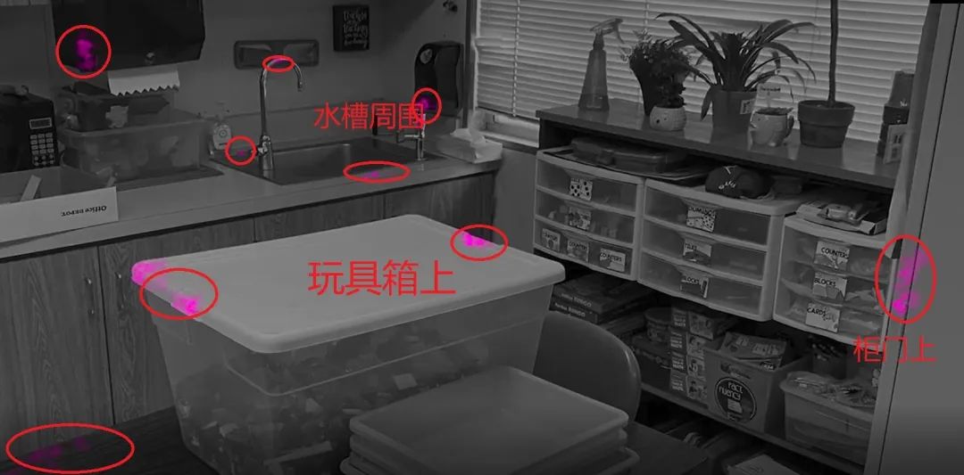 严防二次疫情！看完美国小学这个实验，我宁愿娃继续宅家……