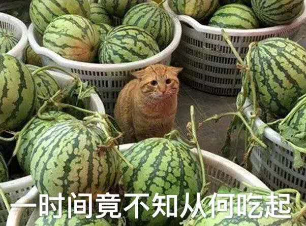 当余欢水遇上罗志祥：为什么受伤的总是老实人？