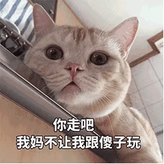 当余欢水遇上罗志祥：为什么受伤的总是老实人？