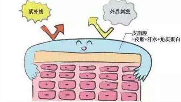 你知道洗面奶真实的逻辑吗?你每天在用的东西也许正在伤害你 你知道洗面奶真实的逻辑吗?你每天在用的东西也许正在伤害你
