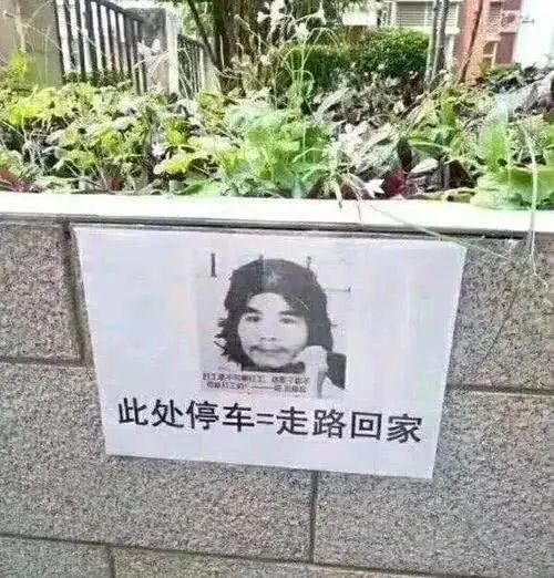 周某，中文互联网的顶流梗王