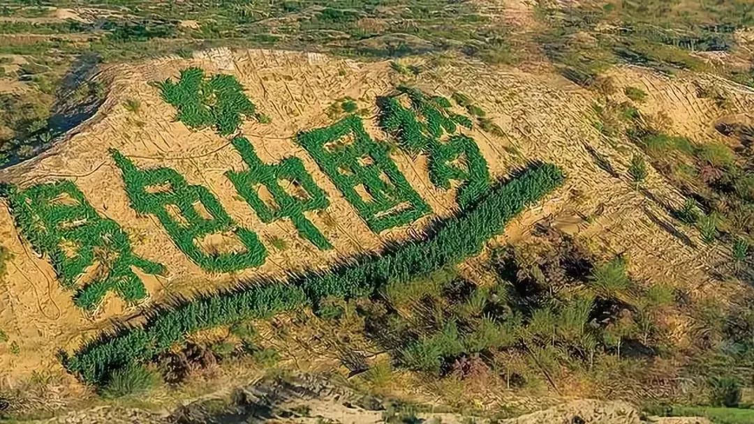 这块不毛之地，快被中国人消灭了