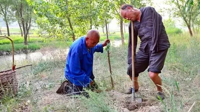 干掉千年沙漠，种出8个韩国，“绿”了全世界：中国人种树到底有多牛？