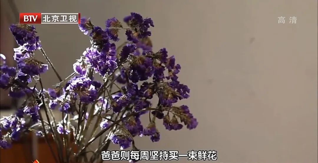 一家三口挤北京10㎡陋室,十年不看电视,没有厕所却藏书过万:把生活熬成了诗 一家三口挤北京10㎡陋室,十年不看电视,没有厕所却藏书过万:把生活熬成了诗