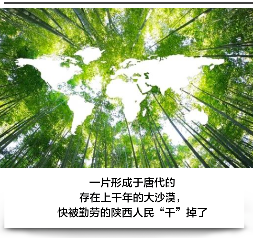 干掉千年沙漠，种出8个韩国，“绿”了全世界：中国人种树到底有多牛？