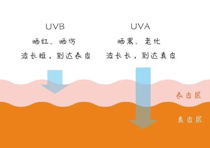 与丁香医生讨论下“阴天也应该防晒吗”,生命为大还是防晒为大?讨论2. 与丁香医生讨论下“阴天也应该防晒吗”,生命为大还是防晒为大?讨论2.