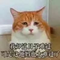应届生求职毒打指南 应届生求职毒打指南