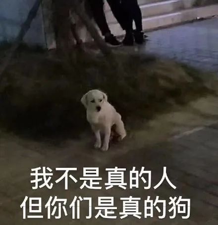 应届生求职毒打指南 应届生求职毒打指南
