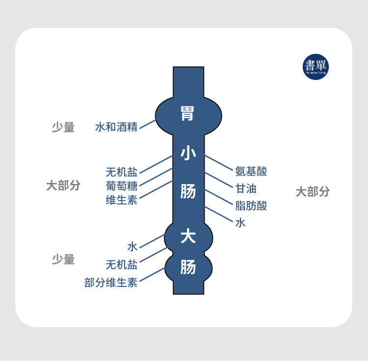 减肥的真相：为什么有人怎么吃都不胖，有人喝水都长肉？