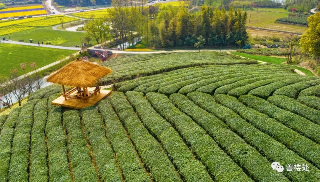 那些美好的仗他都打过了