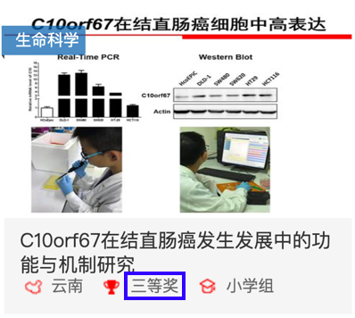 全国青少年科技大赛造假？其实中小学生才是我国科研的秘密武器…