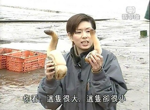 万千自制伟哥的背后,是中国惨绿青年们的壮阳焦虑 万千自制伟哥的背后,是中国惨绿青年们的壮阳焦虑