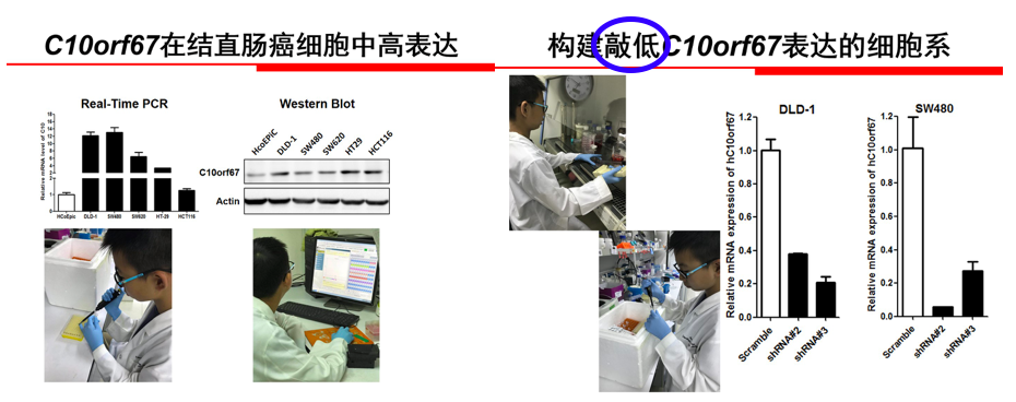 全国青少年科技大赛造假？其实中小学生才是我国科研的秘密武器…