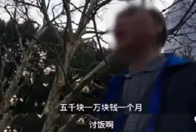 万千自制伟哥的背后,是中国惨绿青年们的壮阳焦虑 万千自制伟哥的背后,是中国惨绿青年们的壮阳焦虑