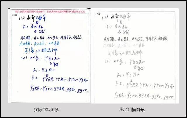 中高考电脑阅卷现场照片曝光，阅卷老师最讨厌这五种错误！