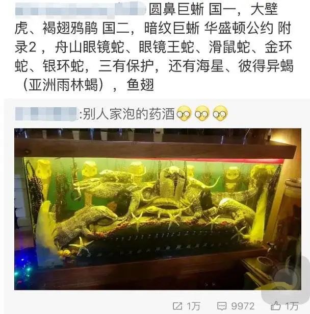 给中国男人一个酒坛，他能泡下整个宇宙