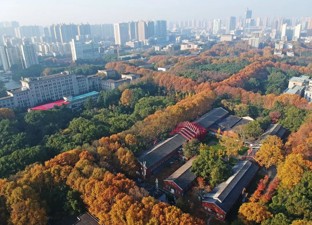 这是中国隐藏最深的高考超难大省 | 周末漫谈