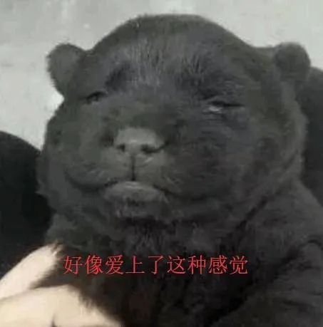 我的爸爸坑了我 我的爸爸坑了我