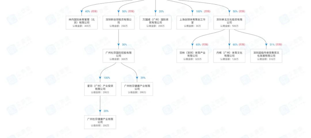 林丹的商业版图