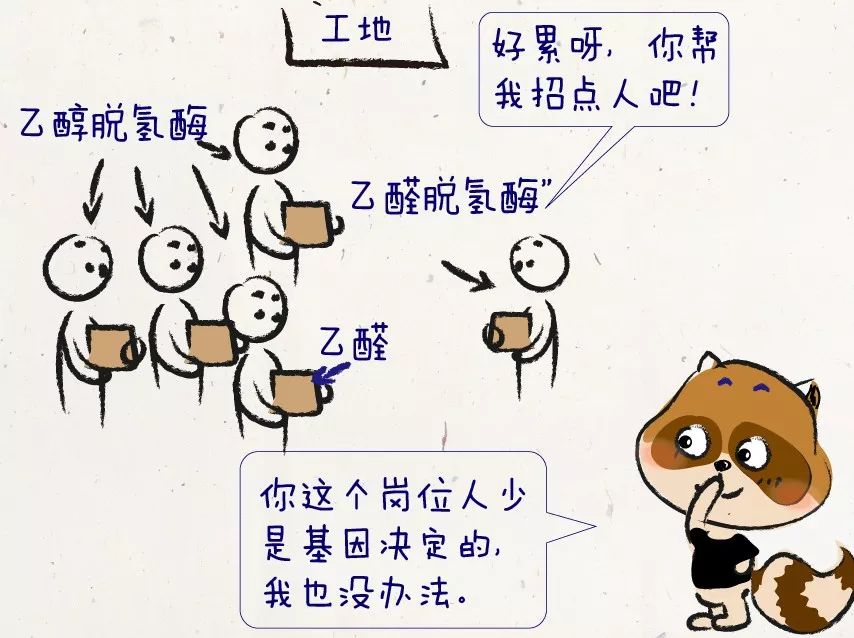 柳叶刀：每个喝酒上脸的人，都有更高患癌风险