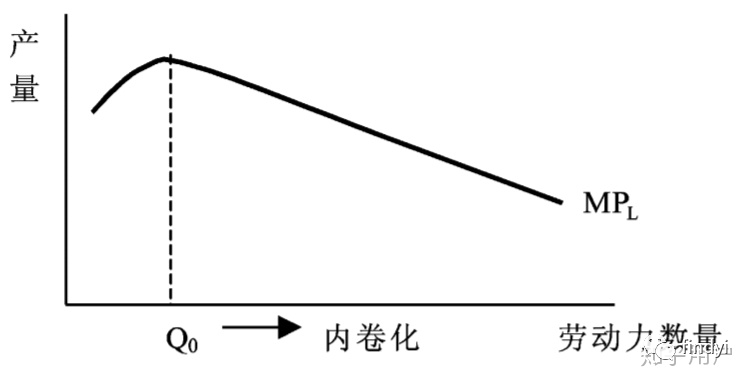 今天你内卷了吗？