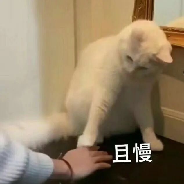 10亿人没喝过奶茶,还有人在刷“不就一杯奶茶钱” 10亿人没喝过奶茶,还有人在刷“不就一杯奶茶钱”