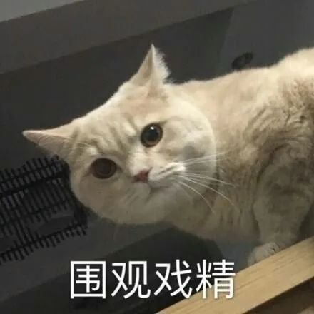 10亿人没喝过奶茶,还有人在刷“不就一杯奶茶钱” 10亿人没喝过奶茶,还有人在刷“不就一杯奶茶钱”