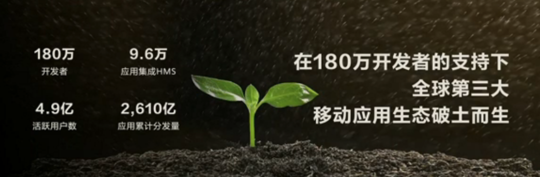 鸿蒙“备胎扶正”，华为背水一战