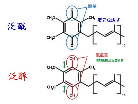 让你惊诧的同名不同效的辅酶Q10