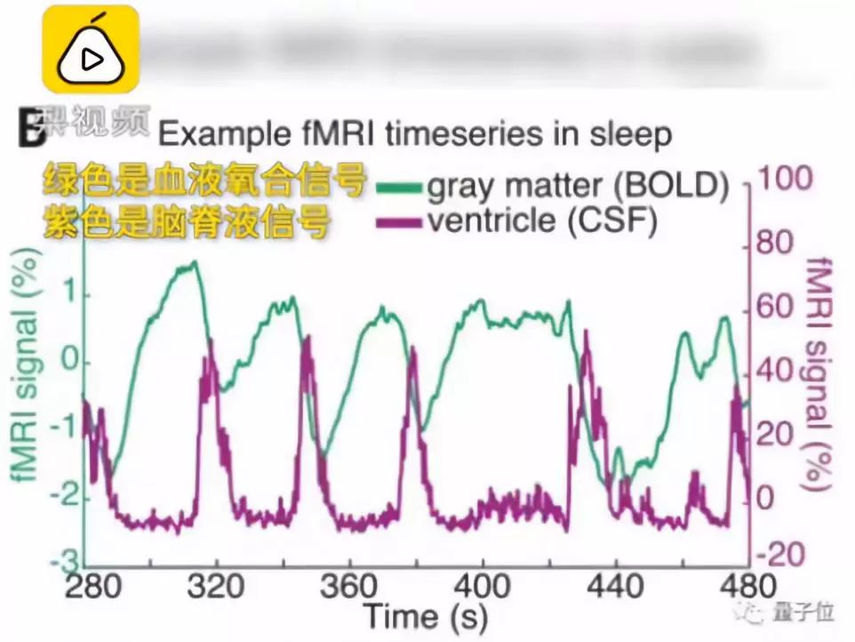 “熬夜变笨”终于被科学证实 | 你的身体正在狠狠报复你