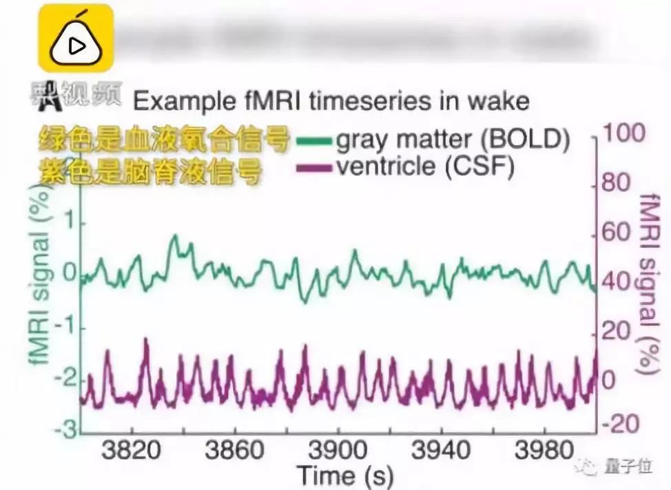 “熬夜变笨”终于被科学证实 | 你的身体正在狠狠报复你