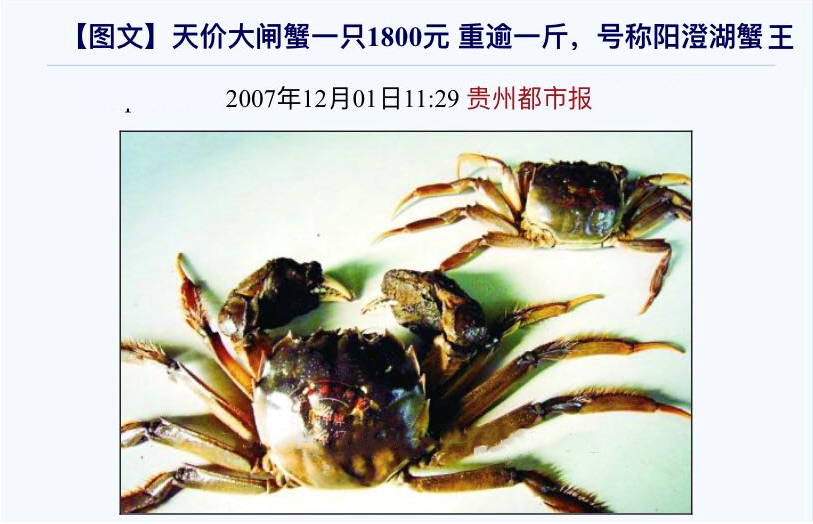 99%是冒牌货：吃到一只正宗阳澄湖大闸蟹，到底有多难？