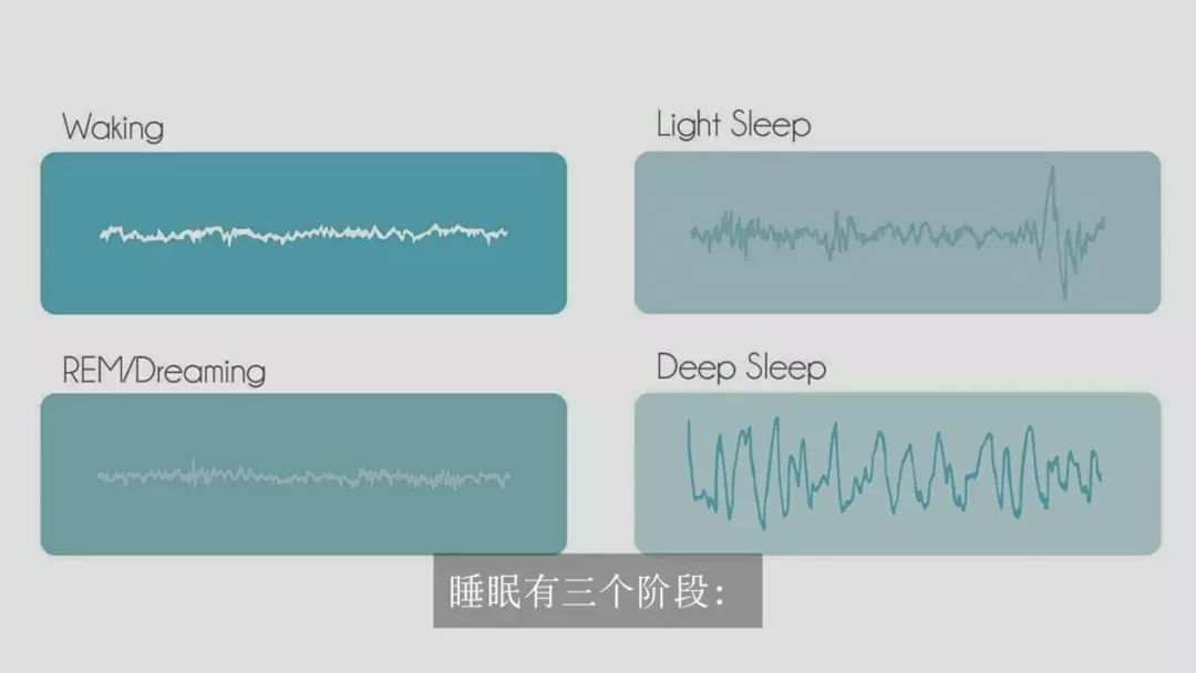 “熬夜变笨”终于被科学证实 | 你的身体正在狠狠报复你