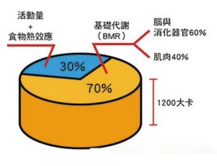 网友们是怎么控制身材的？