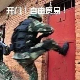对越自卫反击战始末
