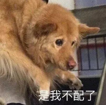 凡尔赛文学大师的自我修养 凡尔赛文学大师的自我修养