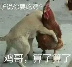 凡尔赛文学大师的自我修养 凡尔赛文学大师的自我修养