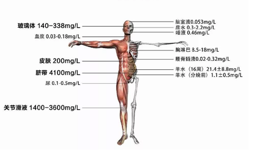 特刊：万字长文说医美