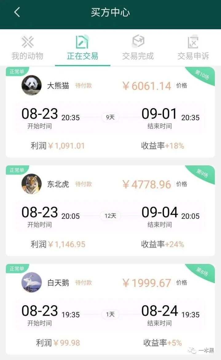 宁愿把钱拿去嫖，都别玩资金盘