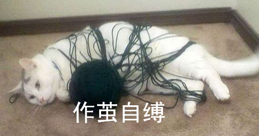 神器更易，全球贸易新格局的崛起