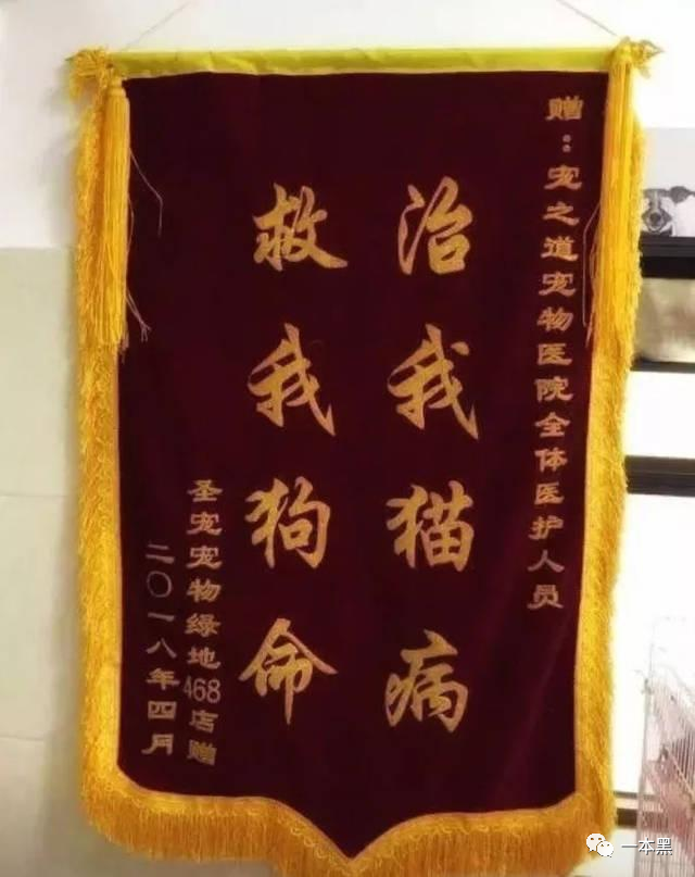 暴利宠物医院,收割养宠人? 暴利宠物医院,收割养宠人?