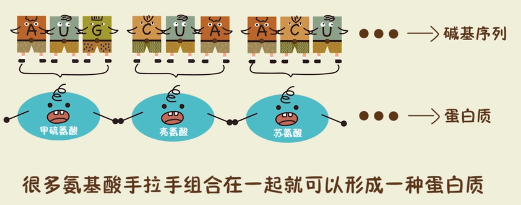 新冠病毒美国造？---解读赵盛烨《关于新型病毒来源的调查综述》