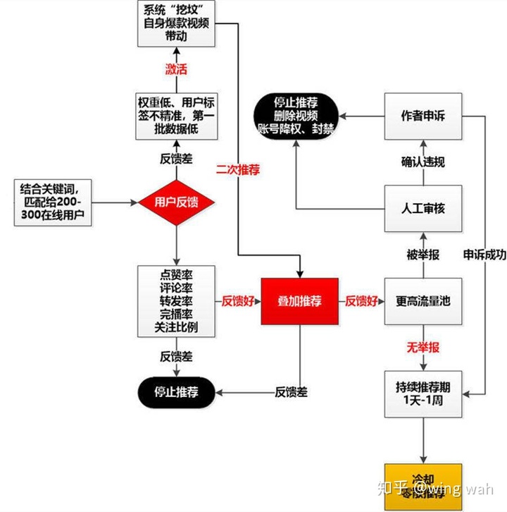 花9万元潜伏在200多个抖音群68天，终于看懂了卖货内幕……