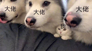 大神是如何玩石头的?最后一步你上你也行 大神是如何玩石头的?最后一步你上你也行