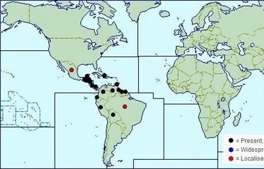 我国不能直飞这个大陆，全是因为这种被联合国称为生物武器的病菌
