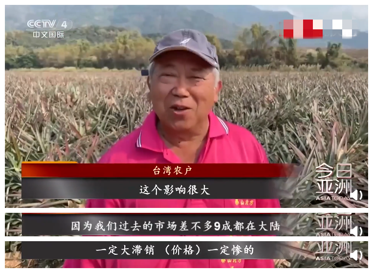 开始收网！大陆禁止进口台湾菠萝