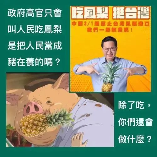 开始收网！大陆禁止进口台湾菠萝