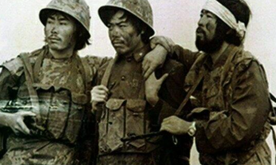 冯学荣：我们和越南同志加兄弟，为何走到互相残杀的地步？